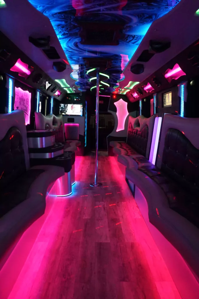 a glimpse of Inside a Metrowest Limousine's Party Bus